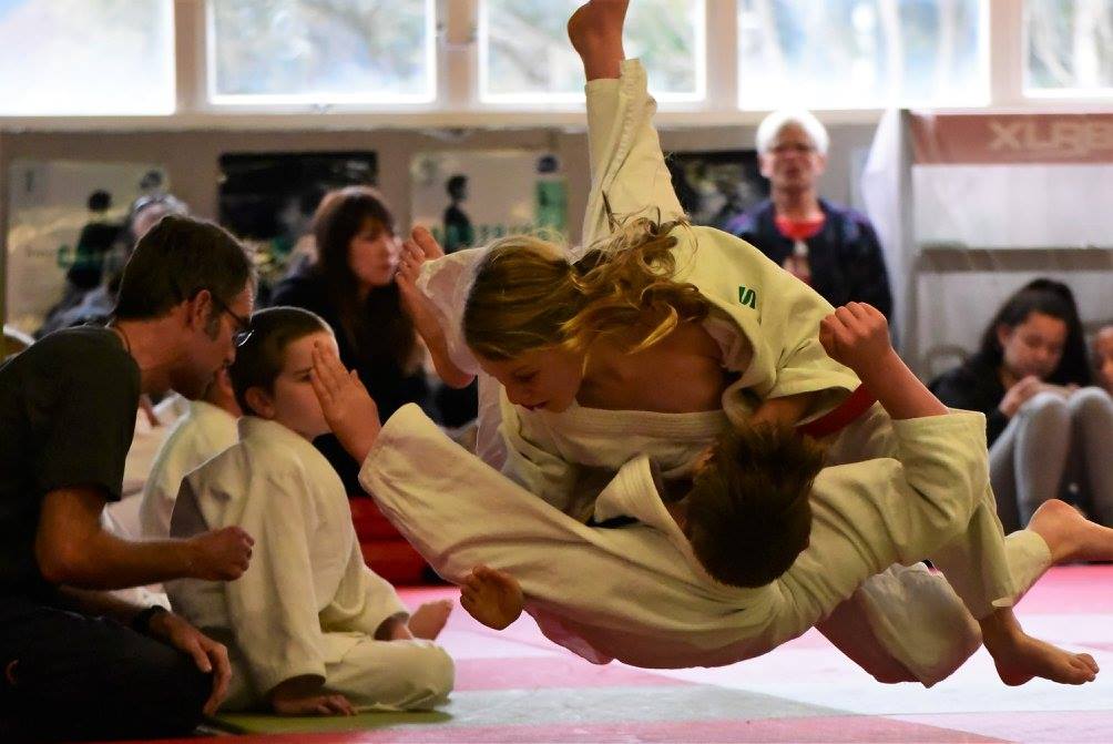 Judo Throw